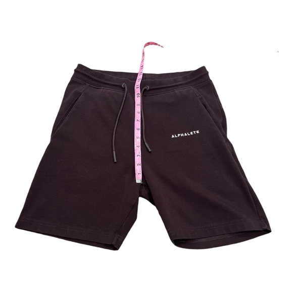 Alphalete Shorts dark plum color Stretch Waistband Drawstring waist mens size M - Picture 5 of 10